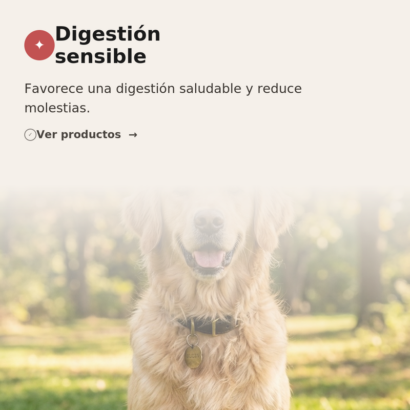🐾 Digestión sensible