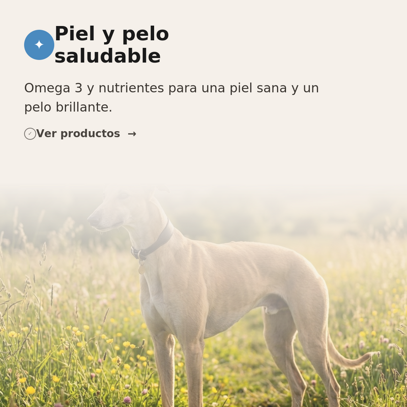 ✨Piel y pelo saludable
