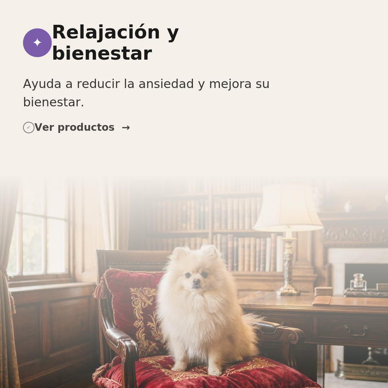 🌿 Relajación y bienestar