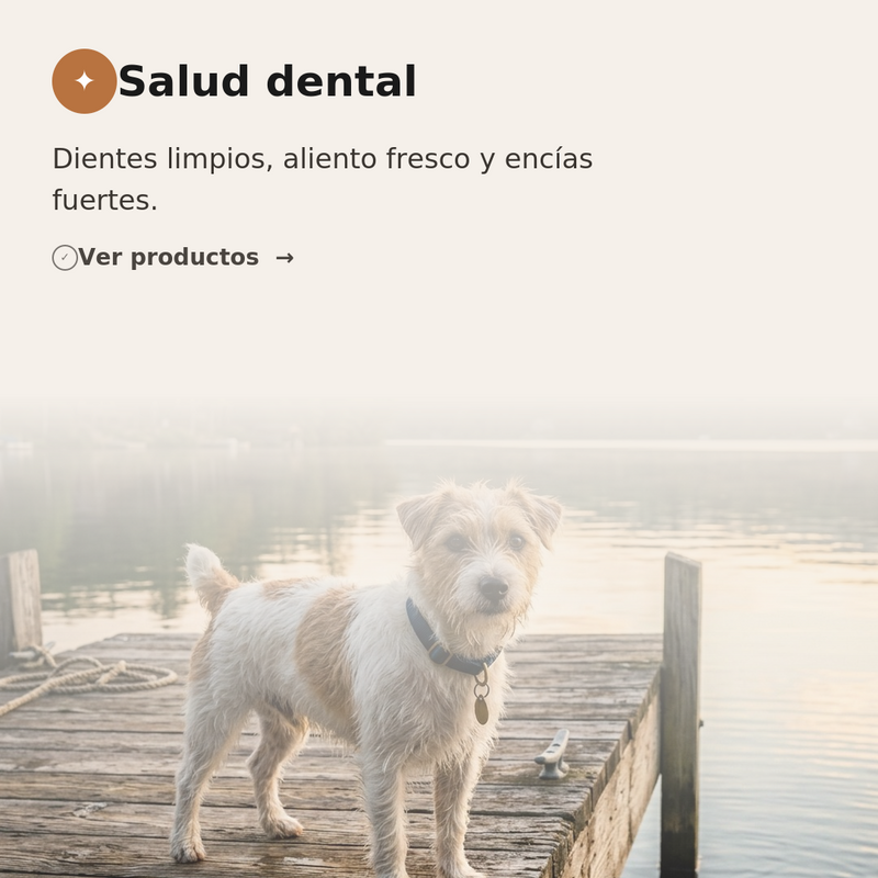 🦷 Salud dental