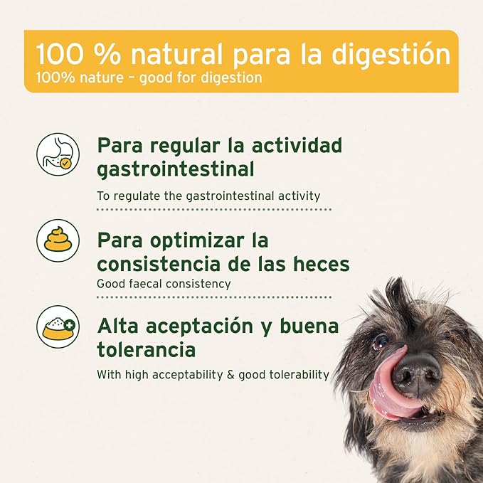 Lodo Curativo 300g