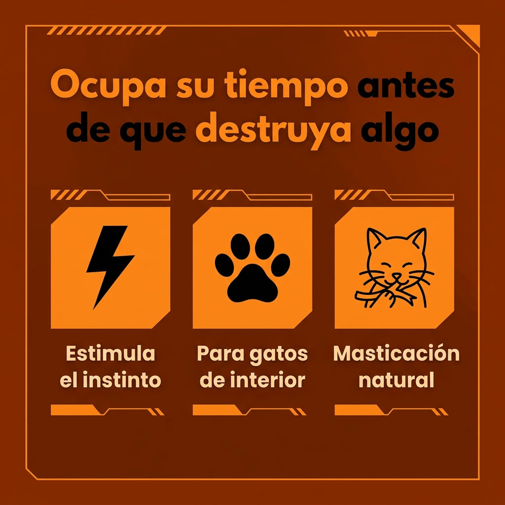 Ocúpalo antes de que Destroce Algo (Gatos y Perros)