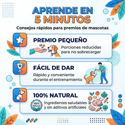 Aprende en 5 Minutos o Menos