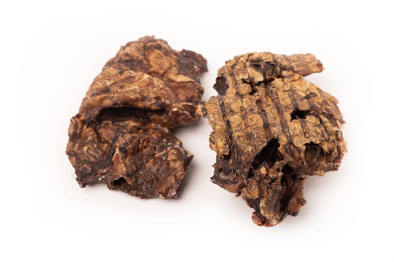 Nutrición Real para Perros Reales