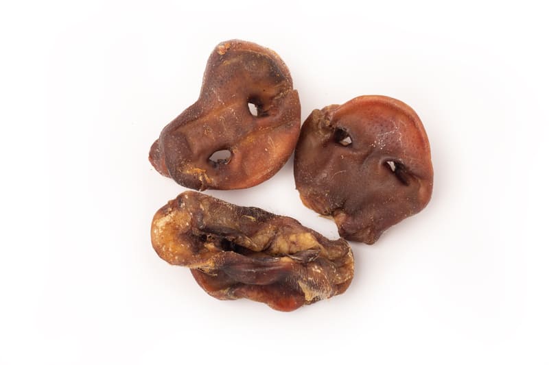Nutrición Real para Perros Reales