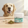 Snack Dental 50g