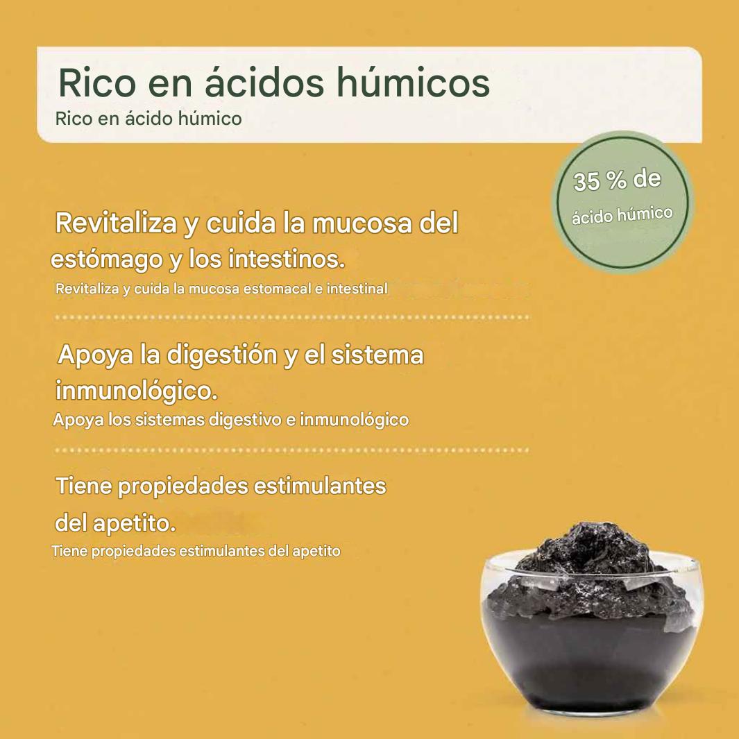 Lodo Curativo 300g
